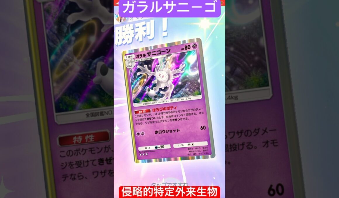 ガラルサニーゴが強過ぎて危険外来種登録したほうがいいわ笑　#ポケポケ #ポケモン #ガラルサニーゴ