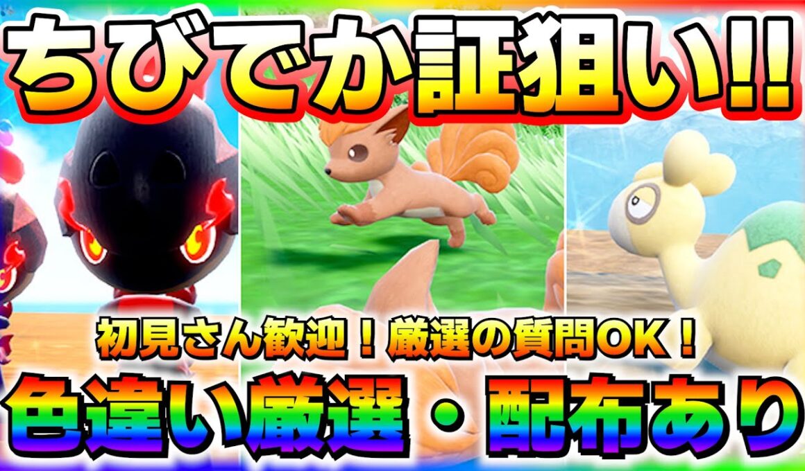 【色配布】激可愛い最小ロコンを捕まえて最小キュウコンを拝みたい！！【#ポケモンSV】