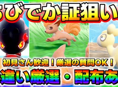【色配布】激可愛い最小ロコンを捕まえて最小キュウコンを拝みたい！！【#ポケモンSV】