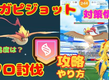 メガピジョットのソロ討伐！攻略ポイントとおすすめ条件を解説