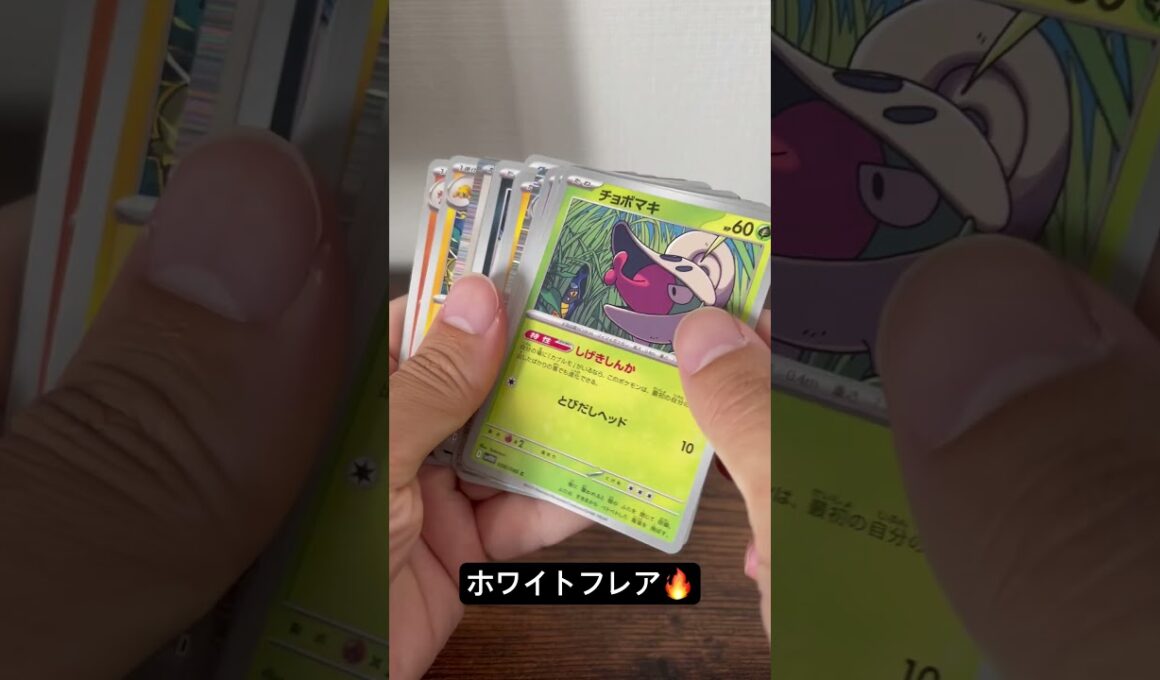 レシラム探検隊🤓#ポケモンカード #ポケカ #ポケモン #ポケカ開封