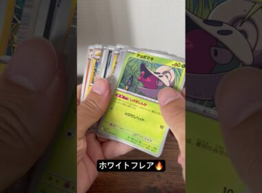 レシラム探検隊🤓#ポケモンカード #ポケカ #ポケモン #ポケカ開封