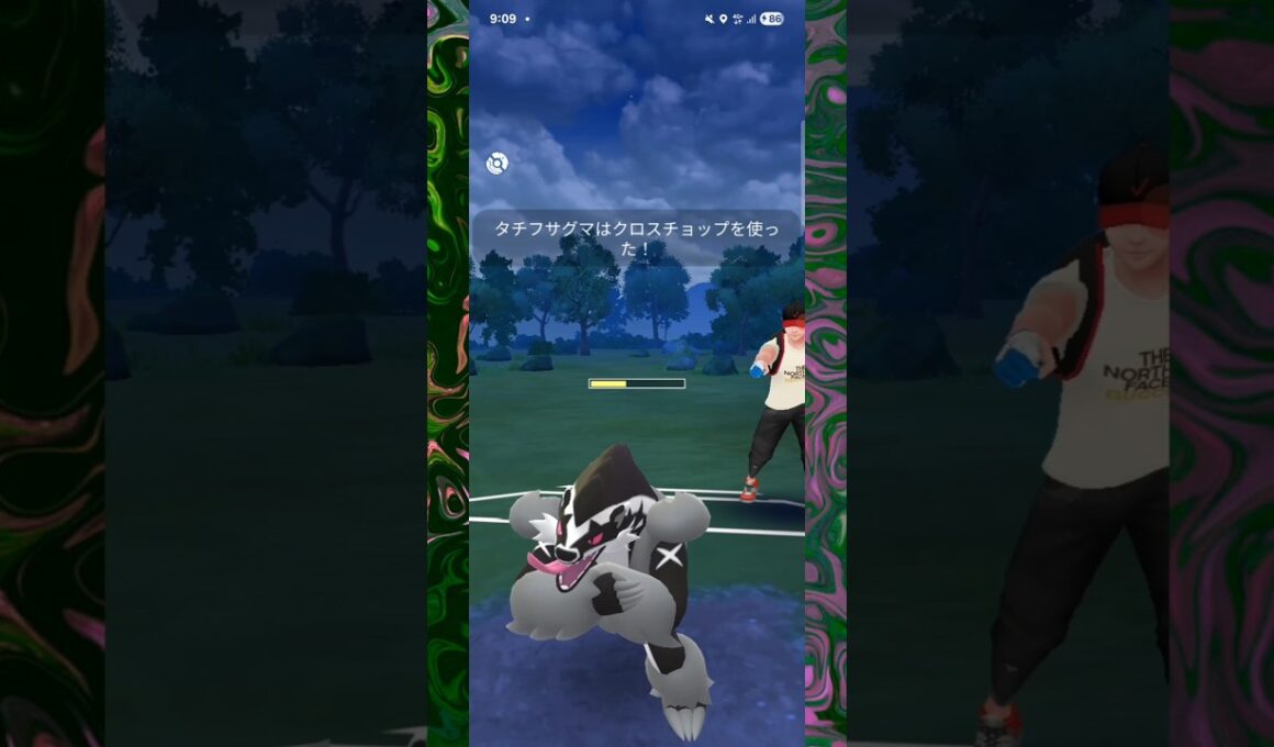 #見た目だけで格闘タイプと勘違いしてしまうタチフサグマ！