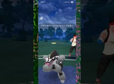 #見た目だけで格闘タイプと勘違いしてしまうタチフサグマ！