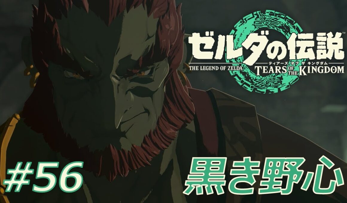 【ティアキン】ここは、どこですか？？砂漠で迷子・・・ゲルドへ！【ゼルダの伝説 ティアーズ オブ ザ キングダム】TotK＜初プレイ＞ #56