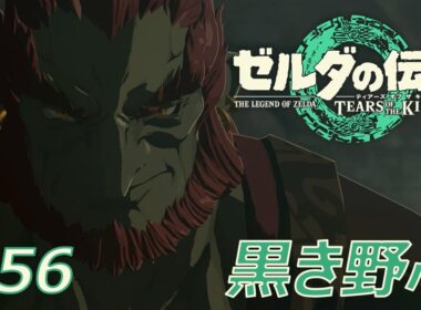 【ティアキン】ここは、どこですか？？砂漠で迷子・・・ゲルドへ！【ゼルダの伝説 ティアーズ オブ ザ キングダム】TotK＜初プレイ＞ #56