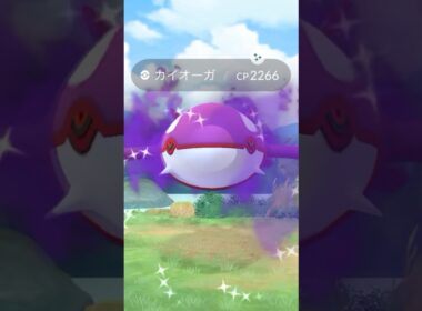シャドウ色違いカイオーガ皆んなゲットできた？？#ポケモンGO #色違いカイオーガ　#シャドウカイオーガ