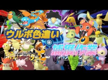 【USUM】ポケットモンスター　色違い探し　part.18【ウルボ】色違い捕獲有