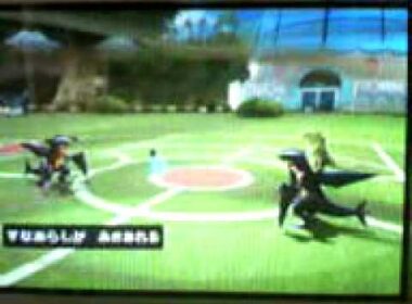 ポケモンバトレボダブルバトルチェリム、バクフーンコンビ