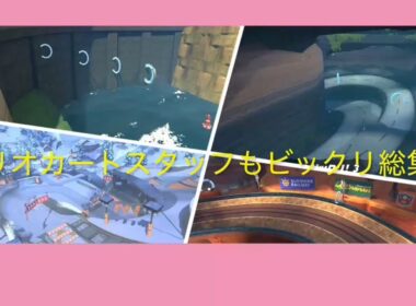 マリオカートスタッフもビックリ総集編