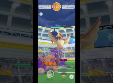 ☆4メガピジョット【ソロ】