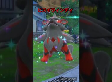 【ポケモンバイオレット】進化　ヒスイガーディ→ヒスイウィンディ　#ポケモンバイオレット #ゲームリハビリ #shorts