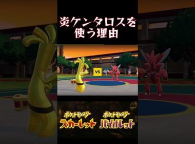 炎ケンタロスを使う理由教えます。【ポケモンSV】#ポケモンsv #ポケモン #ゼロの秘宝 #shorts