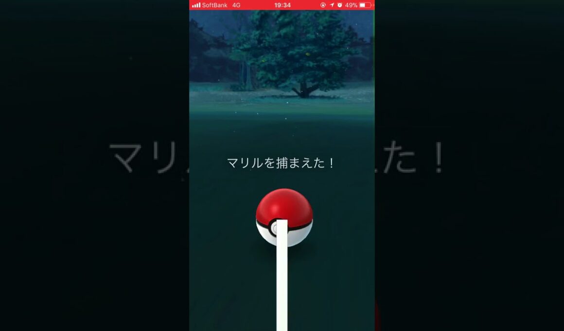 ポケモンGO初ゲット〜マリル