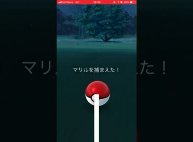 ポケモンGO初ゲット〜マリル