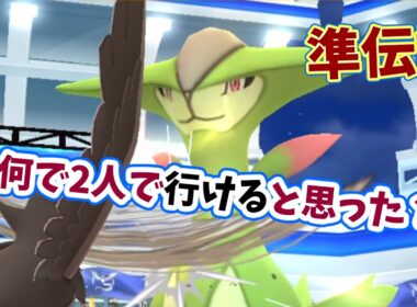 【ポケモンGO】2人だけで準伝説ビリジオンレイド攻略！二重弱点のひこう技で対策！