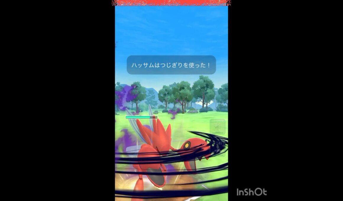😱シャドウハッサム😱