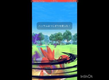 😱シャドウハッサム😱