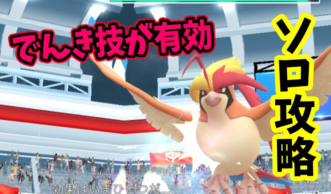 【ポケモンGO】ソロでメガピジョットレイド攻略！メガレイドもでんき技で弱点をついて対策