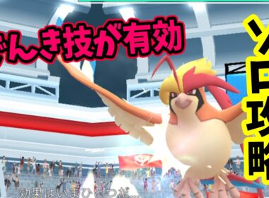 【ポケモンGO】ソロでメガピジョットレイド攻略！メガレイドもでんき技で弱点をついて対策