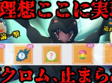 これぞ理想！ゼクロムが止まらない！！【ポケモンGO】