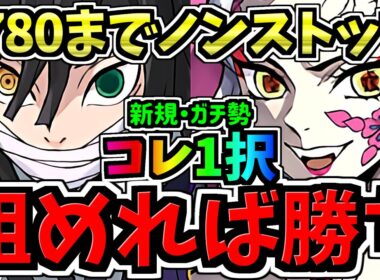 【組めたらラッキー】ランク1780までノンストップ！新規もガチ勢もこの編成1択！伊黒&堕姫で最楽&爆速12億コロシアム周回！編成・代用・立ち回り解説！鬼滅の刃コラボ/ディバインゲート【パズドラ】