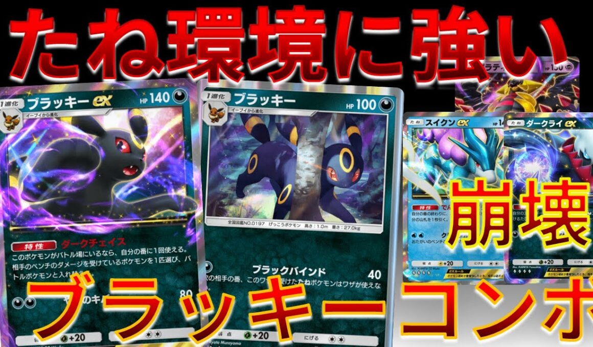 【ポケポケ】ギラダク/スイクン等のたね環境で追い風！ ブラッキーEX＆ ブラッキーが熱すぎたｗｗｗ #未知なる水域