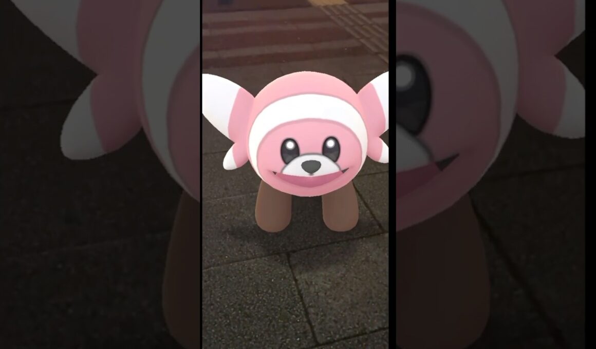 、、ウシロキテルヨ。#ポケモンGO#キテルグマ#ヌイコグマ