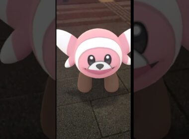 、、ウシロキテルヨ。#ポケモンGO#キテルグマ#ヌイコグマ