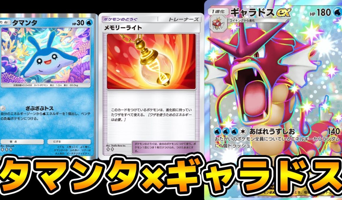 メモリーライトを採用した「タマンタ×ギャラドスex」デッキ使ってみた【ポケポケ】