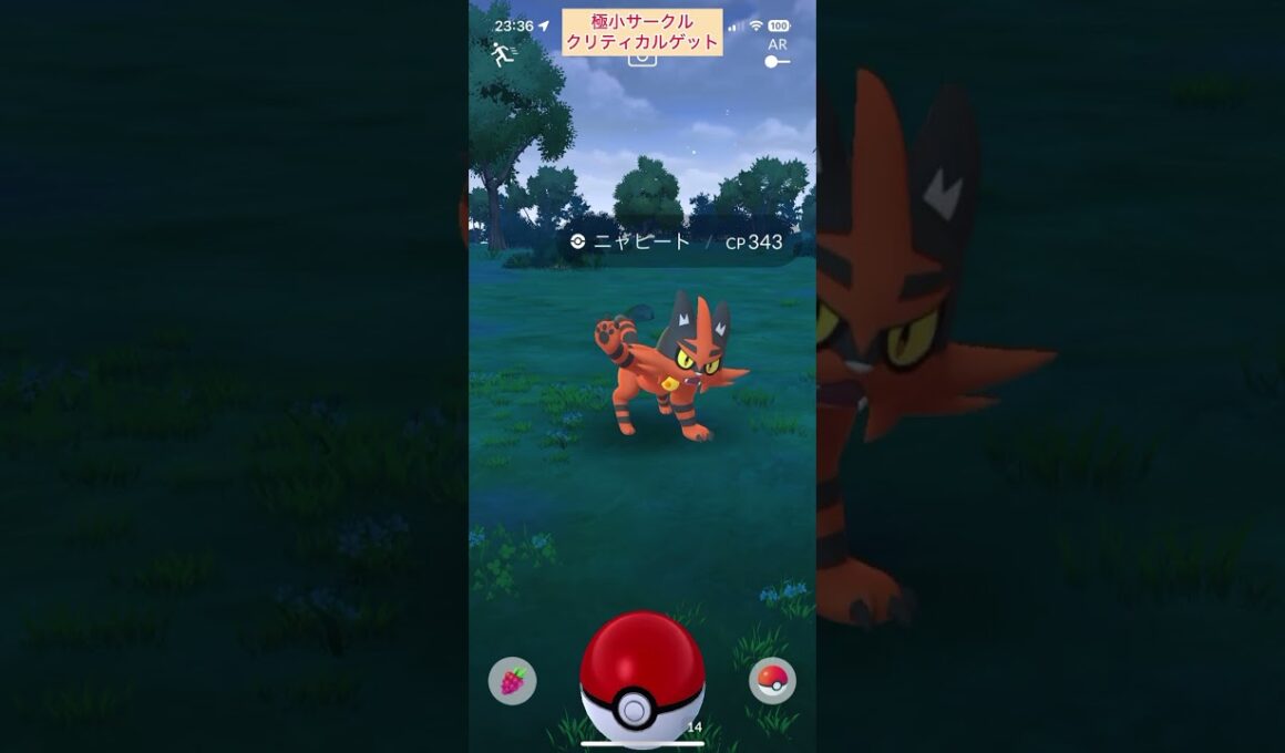 【難易度低】ニャヒート極小サークルクリティカルゲット【ポケモンGO】