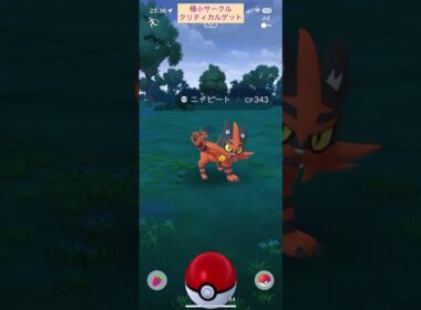 【難易度低】ニャヒート極小サークルクリティカルゲット【ポケモンGO】