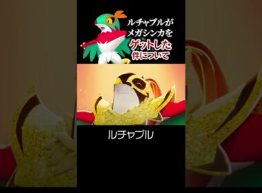ルチャブルがメガシンカをゲットした件について。【ポケモンZA】