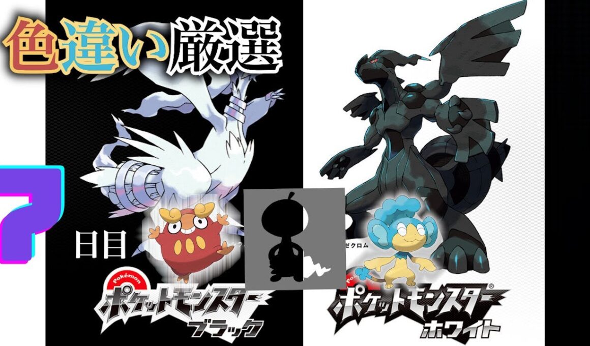 【ポケモンBW】4番道路(Shiny Pokémon)厳選(7日目) ~ヒヤップを添えて~