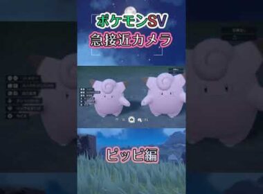 【ポケモンSV】ピッピが近づいてくるだけの動画 #ポケモンsv #ピッピ #中秋の名月 #shorts