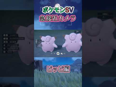 【ポケモンSV】ピッピが近づいてくるだけの動画 #ポケモンsv #ピッピ #中秋の名月 #shorts