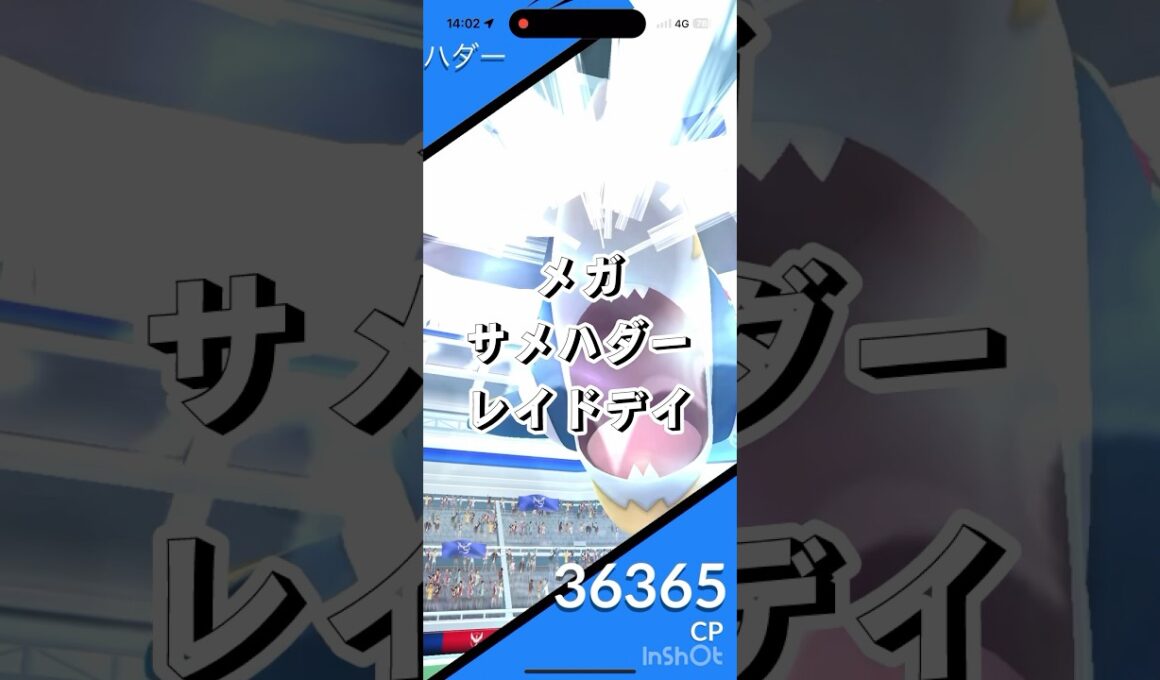 メガサメハダーが実装‼︎1人討伐していくぞ‼︎【ポケモンGO】　#ポケモンgo #メガサメハダー　#レイドバトル