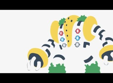 【ポケモンSV】レジギガス「俺は止まらねぇからよ…」【対戦歓迎/コメント歓迎】