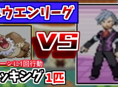 ケッキング1匹で3世代のポケモンリーグに挑戦してみた！！【ポケモン ルビー・サファイア】