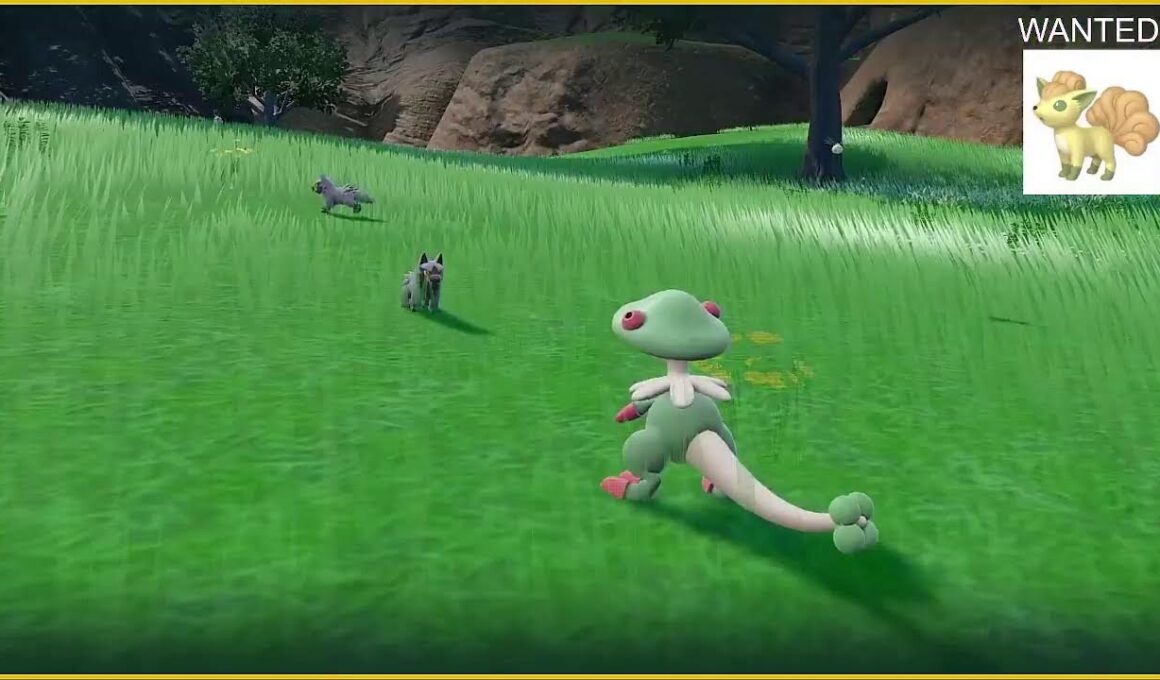 【ポケモンSV】switch2で色違いロコンを探してウロウロする配信