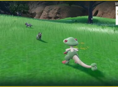 【ポケモンSV】switch2で色違いロコンを探してウロウロする配信