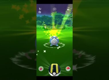 【ポケモンGO】100%個体ゲット！？ニョロモのコミュニティデイ！！ #Shorts