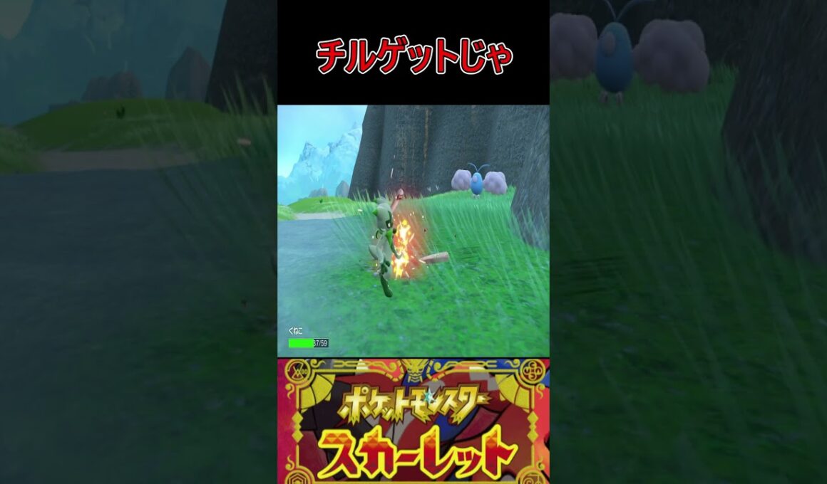 チルット育てようかなー　#ポケモン #ポケモンsv #ポケットモンスター #ゲーム実況 #shorts