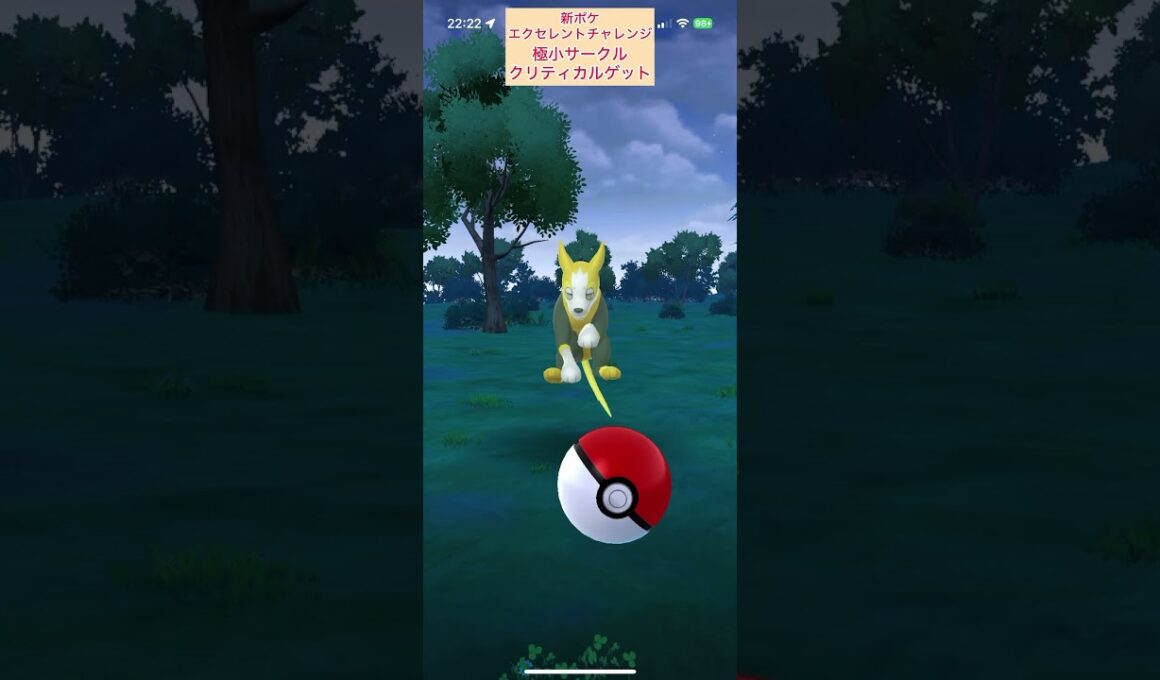 【難易度低】パルスワン図鑑登録極小サークルクリティカルゲット！新ポケエクセレントチャレンジ【ポケモンGO】