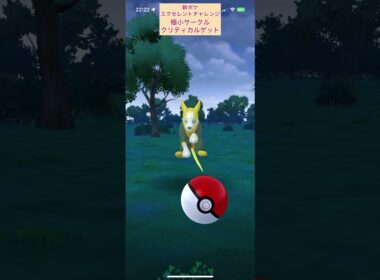 【難易度低】パルスワン図鑑登録極小サークルクリティカルゲット！新ポケエクセレントチャレンジ【ポケモンGO】