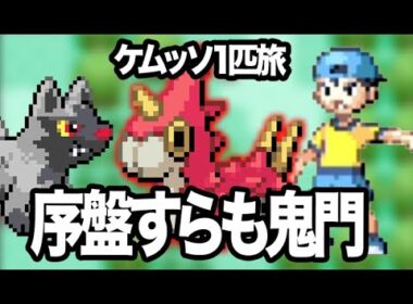 #2【ケムッソ縛り】まだ序盤なのに最難関すぎる…ケムッソでの旅が想像以上に地獄【ポケモンエメラルド】