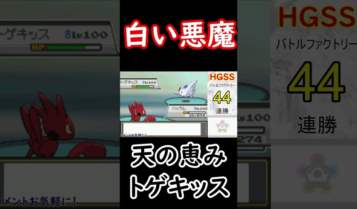 【ポケモンHGSS】天の恵みトゲキッスの強さがよく分かる動画です。【バトルファクトリー】 #ポケモン #バトルファクトリー