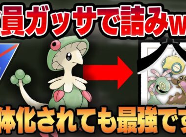 【サマーカップ】キノガッサに弱いヤツしか環境におらんwwww圧倒的なフィジカルで環境トップのもやし共を一網打尽にして真の最強を分からせる！！【GBL】