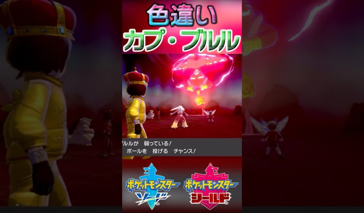 戦闘！色違いカプ・ブルル #shorts