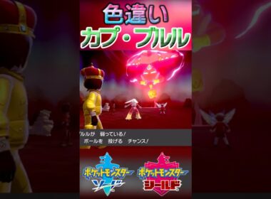 戦闘！色違いカプ・ブルル #shorts